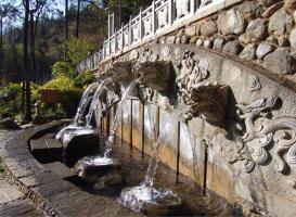 Dali Butterfly Spring